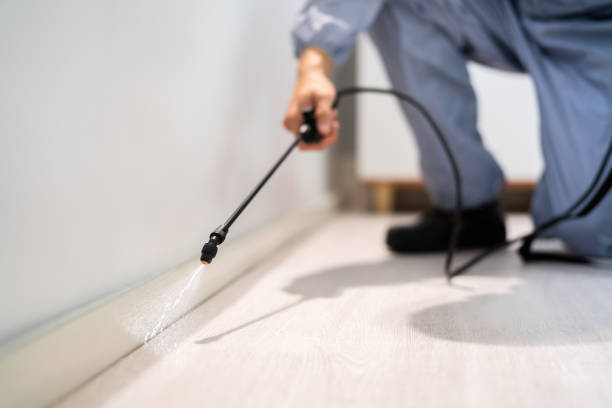 Certified termite inspector examining foundation in Hazel Park